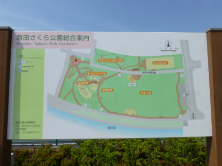 新田さくら公園 あだち観光ネット