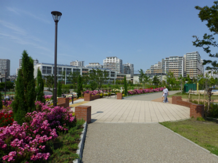 新田さくら公園 あだち観光ネット