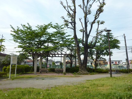 washimiya_01