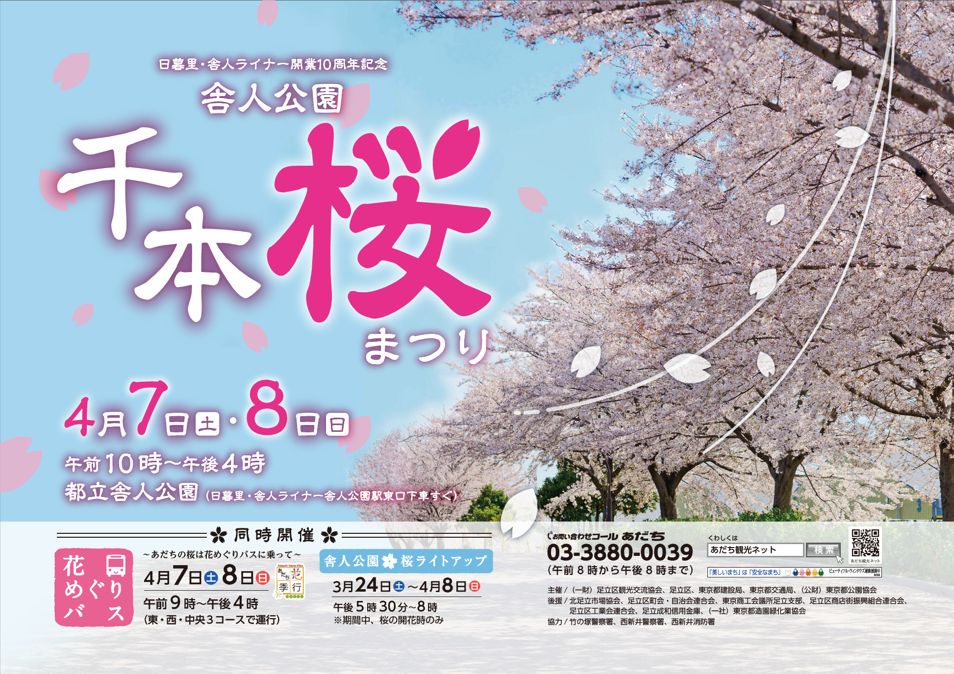 舎人公園千本桜まつり を開催します あだち観光ネット