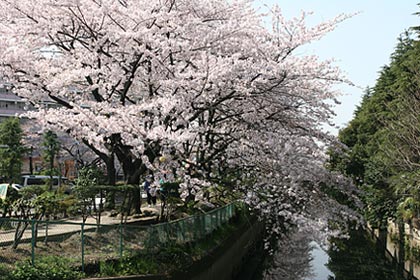 舎人緑道公園  